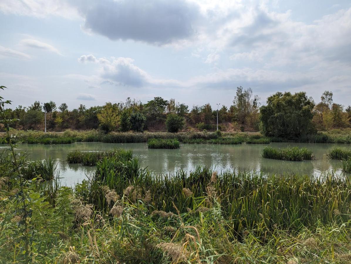 בוקרשט Horizon View Villa - Lakefront Terrace Suite מראה חיצוני תמונה